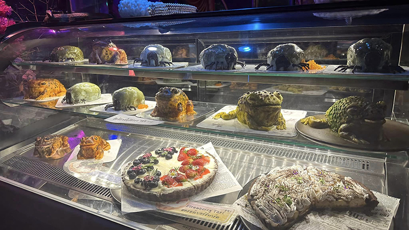 ตกใจจะบ้า เห็บหมาไซซ์เท่าชิวาว่า ขนลุกซู่ พอซูมดูรู้ว่าคืออะไร ปรบมือให้คนทำ ! ตกใจจะบ้า เห็บหมาไซซ์เท่าชิวาว่า ขนลุกซู่ พอซูมดูรู้ว่าคืออะไร ปรบมือให้คนทำ !