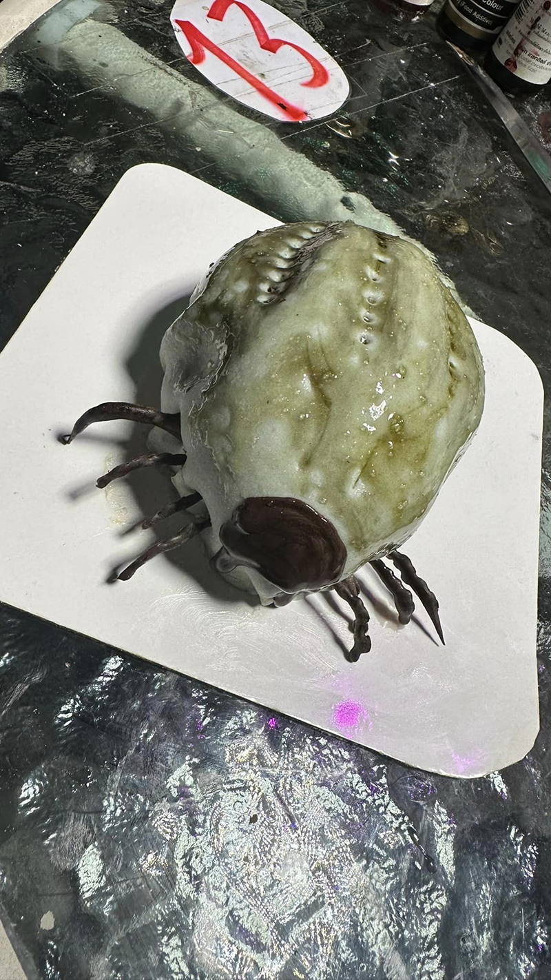 ตกใจจะบ้า เห็บหมาไซซ์เท่าชิวาว่า ขนลุกซู่ พอซูมดูรู้ว่าคืออะไร ปรบมือให้คนทำ ! ตกใจจะบ้า เห็บหมาไซซ์เท่าชิวาว่า ขนลุกซู่ พอซูมดูรู้ว่าคืออะไร ปรบมือให้คนทำ !