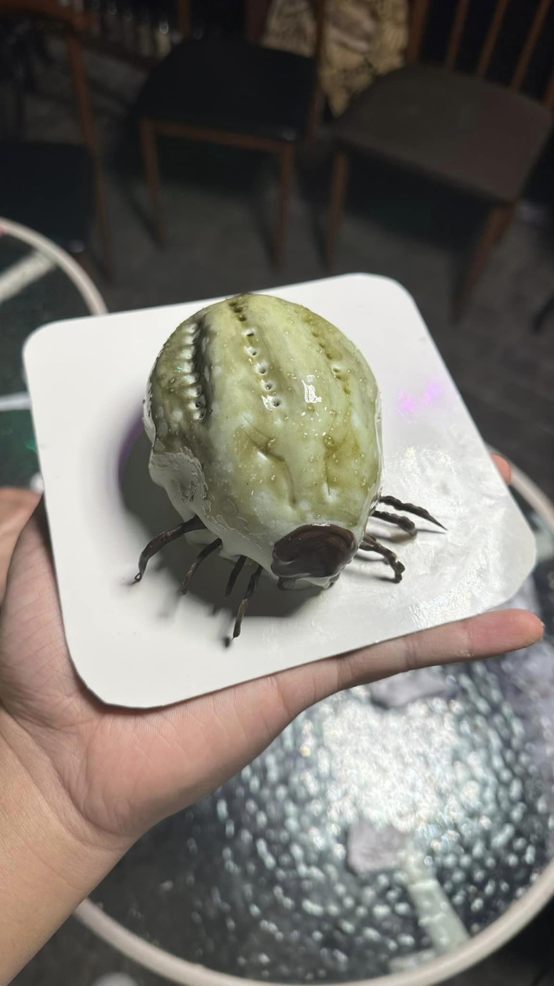 ตกใจจะบ้า เห็บหมาไซซ์เท่าชิวาว่า ขนลุกซู่ พอซูมดูรู้ว่าคืออะไร ปรบมือให้คนทำ ! ตกใจจะบ้า เห็บหมาไซซ์เท่าชิวาว่า ขนลุกซู่ พอซูมดูรู้ว่าคืออะไร ปรบมือให้คนทำ !