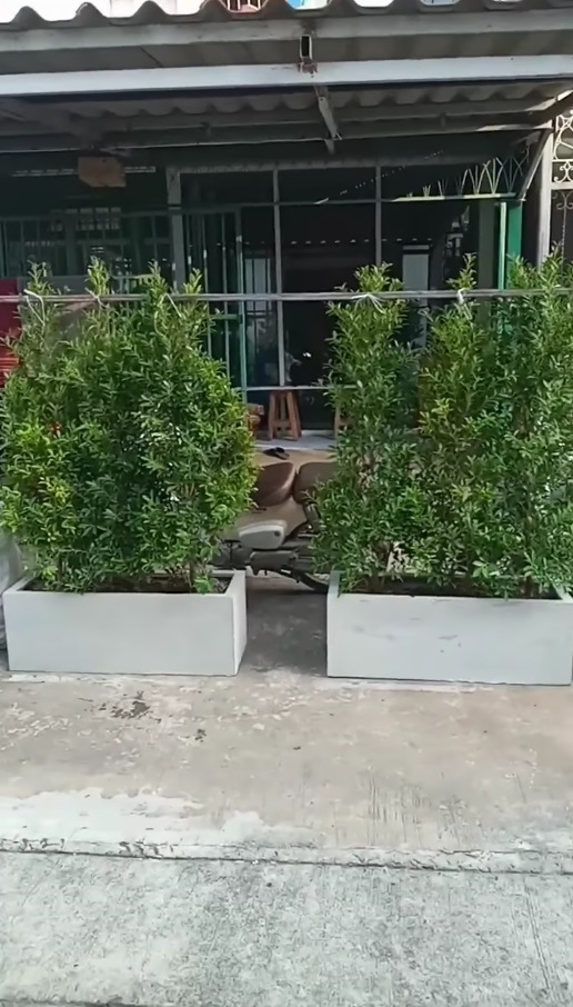 ขั้นกว่าของการจอดรถหน้าบ้าน เพื่อนบ้านทำหลังคา วางต้นไม้ ถนนนี้พี่ครอง ร้อง 3 ปีไม่คืบ ขั้นกว่าของการจอดรถหน้าบ้าน เพื่อนบ้านทำหลังคา วางต้นไม้ ถนนนี้พี่ครอง ร้อง 3 ปีไม่คืบ