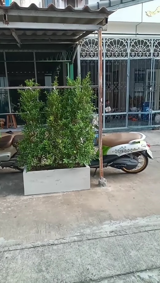 ขั้นกว่าของการจอดรถหน้าบ้าน เพื่อนบ้านทำหลังคา วางต้นไม้ ถนนนี้พี่ครอง ร้อง 3 ปีไม่คืบ ขั้นกว่าของการจอดรถหน้าบ้าน เพื่อนบ้านทำหลังคา วางต้นไม้ ถนนนี้พี่ครอง ร้อง 3 ปีไม่คืบ