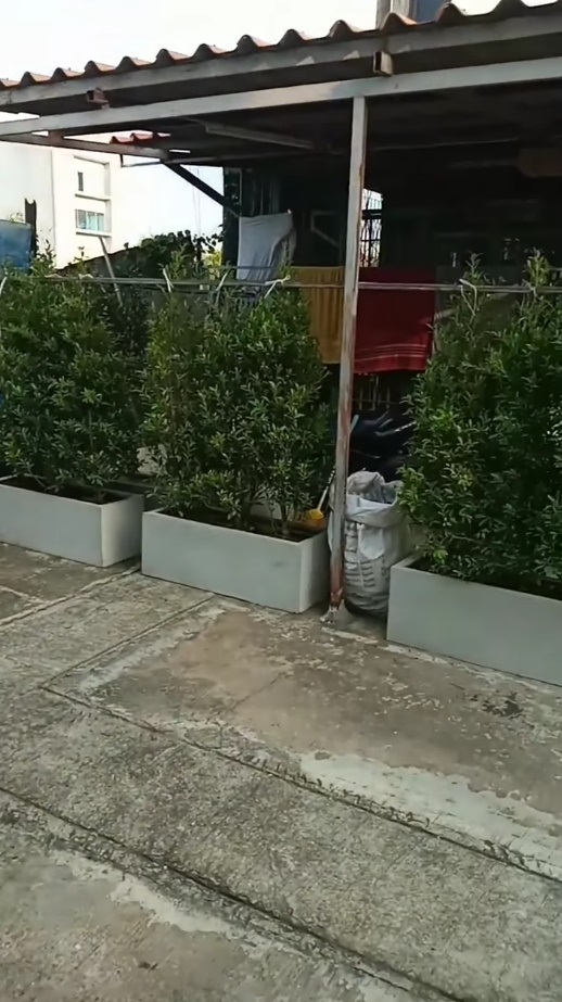 ขั้นกว่าของการจอดรถหน้าบ้าน เพื่อนบ้านทำหลังคา วางต้นไม้ ถนนนี้พี่ครอง ร้อง 3 ปีไม่คืบ ขั้นกว่าของการจอดรถหน้าบ้าน เพื่อนบ้านทำหลังคา วางต้นไม้ ถนนนี้พี่ครอง ร้อง 3 ปีไม่คืบ