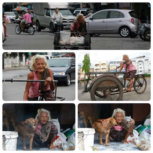 นางฟ้าของหมาวัด.. คุณยายวัย 83 ถึงร่างกายไม่แข็งแรง แต่ปั่นสามล้อมาให้ข้าวหมาจรจัดทุกวัน นางฟ้าของหมาวัด.. คุณยายวัย 83 ถึงร่างกายไม่แข็งแรง แต่ปั่นสามล้อมาให้ข้าวหมาจรจัดทุกวัน