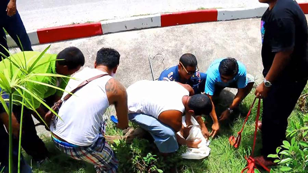 ตัวเงินตัวทองไซส์พี่บิ๊กโผล่ร้านอาหาร ลูกค้าแตกตื่น-ไล่จับชุลมุน ตัวเงินตัวทองไซส์พี่บิ๊กโผล่ร้านอาหาร ลูกค้าแตกตื่น-ไล่จับชุลมุน