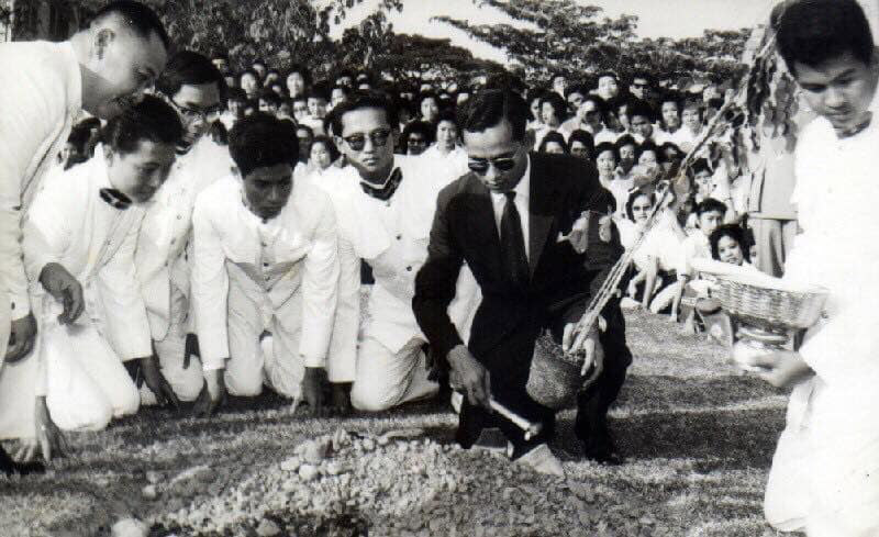 ต้นจามจุรี ร.9 ต้นจามจุรี ร.9