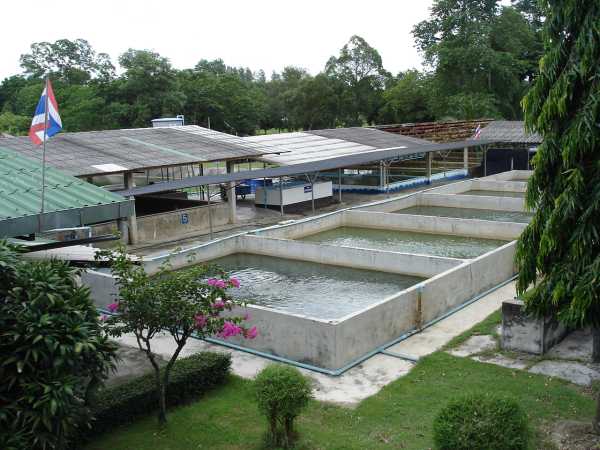 วันดินโลก (World Soil Day) วันดินโลก (World Soil Day)