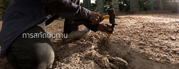 วันดินโลก (World Soil Day) วันดินโลก (World Soil Day)