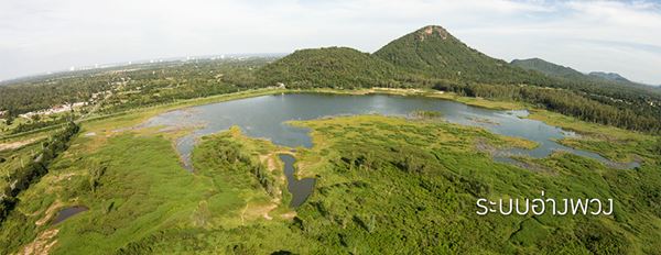 วันดินโลก (World Soil Day) วันดินโลก (World Soil Day)