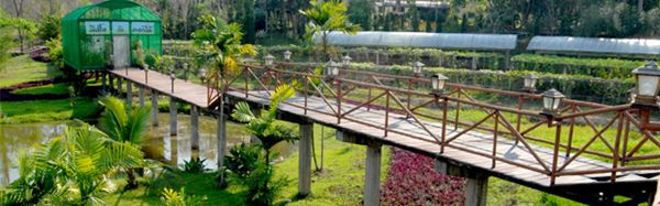 วันดินโลก (World Soil Day) วันดินโลก (World Soil Day)