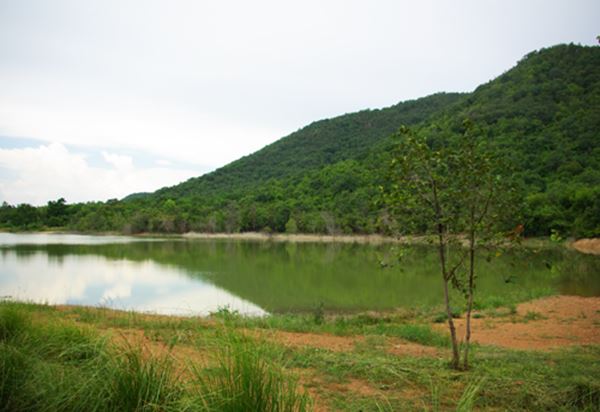 วันดินโลก (World Soil Day) วันดินโลก (World Soil Day)