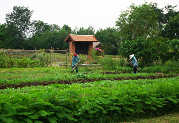 วันดินโลก (World Soil Day) วันดินโลก (World Soil Day)