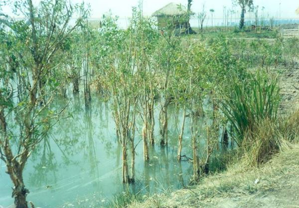 วันดินโลก (World Soil Day) วันดินโลก (World Soil Day)
