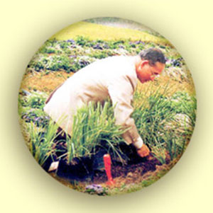 รัชกาลที่ 9 รัชกาลที่ 9