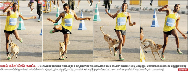 นักวิ่งมาราธอนสุดซวย ชวดที่ 1 เพราะถูกสุนัขจรจัดวิ่งไล่กัดก่อนเข้าเส้นชัย นักวิ่งมาราธอนสุดซวย ชวดที่ 1 เพราะถูกสุนัขจรจัดวิ่งไล่กัดก่อนเข้าเส้นชัย