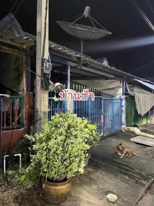 เดินกลับบ้าน 30 กิโล เดินกลับบ้าน 30 กิโล