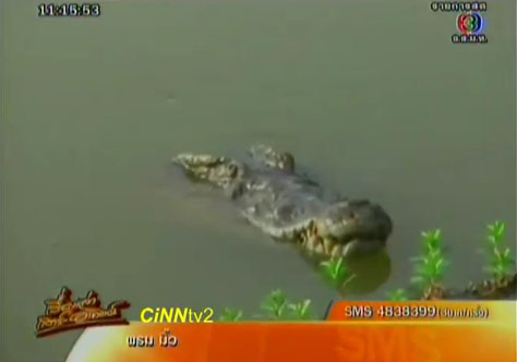 จระเข้หลวงปู่คำ