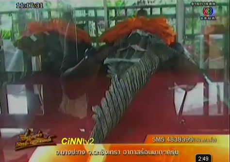 จระเข้หลวงปู่คำ