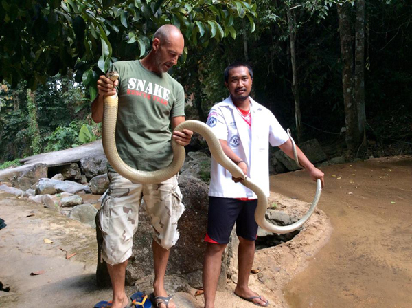 พบงูจงอาง 4 เมตรในห้องน้ำ-ชาวต่างชาติช่วยจับด้วยมือเปล่า ! พบงูจงอาง 4 เมตรในห้องน้ำ-ชาวต่างชาติช่วยจับด้วยมือเปล่า !