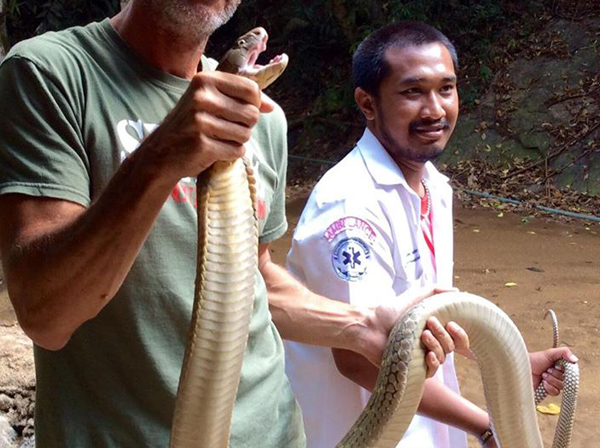 พบงูจงอาง 4 เมตรในห้องน้ำ-ชาวต่างชาติช่วยจับด้วยมือเปล่า ! พบงูจงอาง 4 เมตรในห้องน้ำ-ชาวต่างชาติช่วยจับด้วยมือเปล่า !