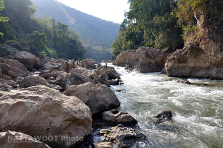 น้องนุ่นหายตัวที่ทุ่งใหญ่ฯ น้องนุ่นหายตัวที่ทุ่งใหญ่ฯ