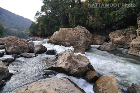 น้องนุ่นหายตัวที่ทุ่งใหญ่ฯ น้องนุ่นหายตัวที่ทุ่งใหญ่ฯ