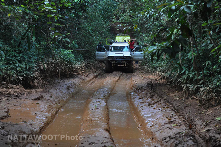 น้องนุ่นหายตัวที่ทุ่งใหญ่ฯ น้องนุ่นหายตัวที่ทุ่งใหญ่ฯ