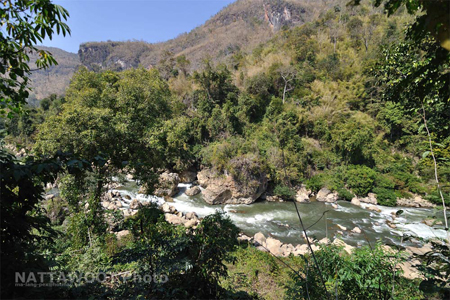 น้องนุ่นหายตัวที่ทุ่งใหญ่ฯ น้องนุ่นหายตัวที่ทุ่งใหญ่ฯ