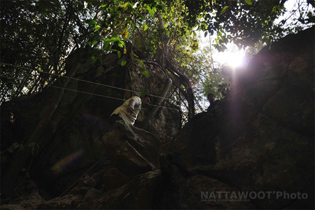 น้องนุ่นหายตัวที่ทุ่งใหญ่ฯ น้องนุ่นหายตัวที่ทุ่งใหญ่ฯ