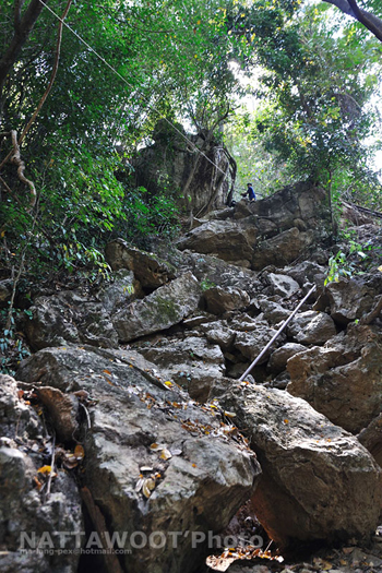 น้องนุ่นหายตัวที่ทุ่งใหญ่ฯ น้องนุ่นหายตัวที่ทุ่งใหญ่ฯ