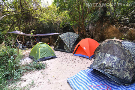 น้องนุ่นหายตัวที่ทุ่งใหญ่ฯ น้องนุ่นหายตัวที่ทุ่งใหญ่ฯ