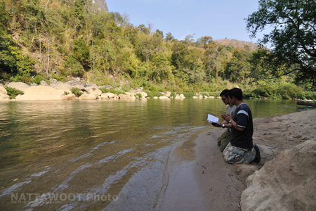 น้องนุ่นหายตัวที่ทุ่งใหญ่ฯ น้องนุ่นหายตัวที่ทุ่งใหญ่ฯ