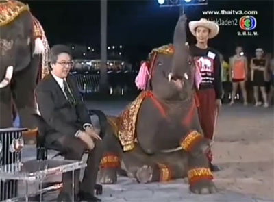 ตีสิบ ช้างไทย