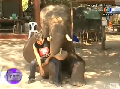 ตีสิบ ช้างไทย