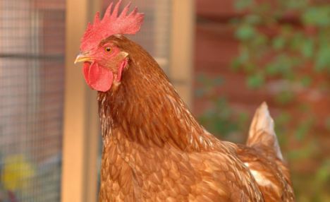 เจ้าเบอร์ตี้