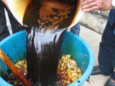 น้ำหมักชีวภาพ