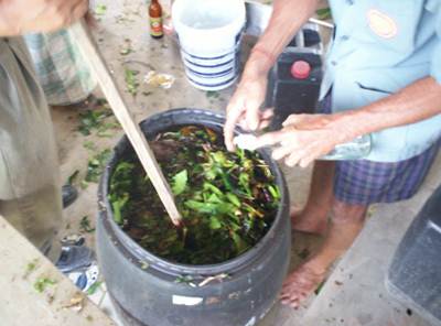 น้ำหมักชีวภาพ