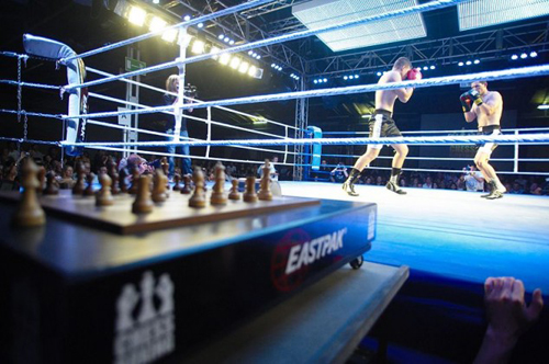 มวยหมากรุก Chess Boxing มวยหมากรุก Chess Boxing