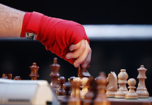 มวยหมากรุก Chess Boxing มวยหมากรุก Chess Boxing