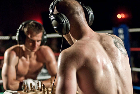 มวยหมากรุก Chess Boxing มวยหมากรุก Chess Boxing