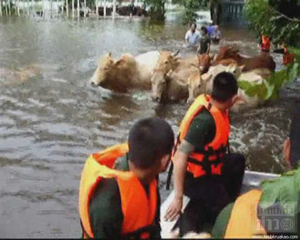 นํ้าท่วมลพบุรี2554 นํ้าท่วมลพบุรี2554