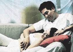 เกย์