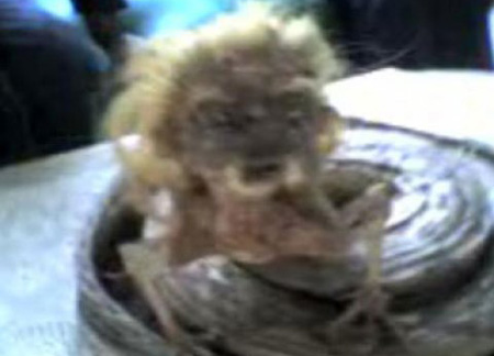 สัตว์ประหลาด