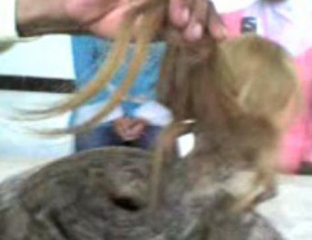 สัตว์ประหลาด