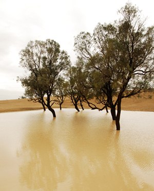 น้ำท่วม