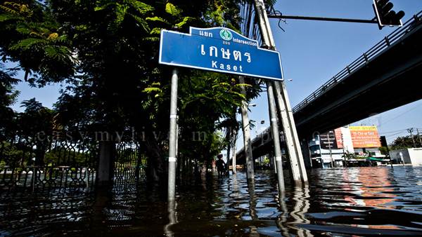 น้ำท่วมเกษตร