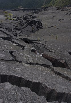 ถนนทรุด