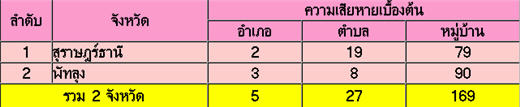 น้ำท่วมภาคใต้