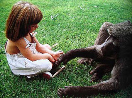 ทิปปี้ หนูน้อยทาร์ซาน