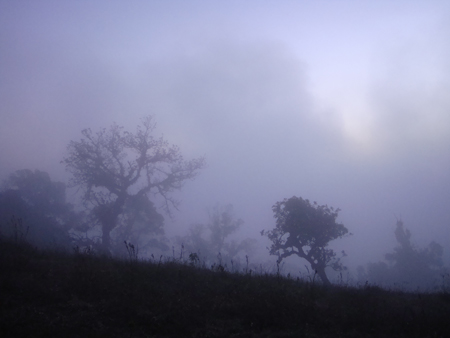 อากาศหนาว