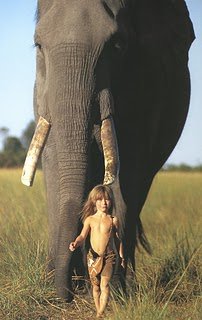 ทิปปี้ หนูน้อยทาร์ซาน